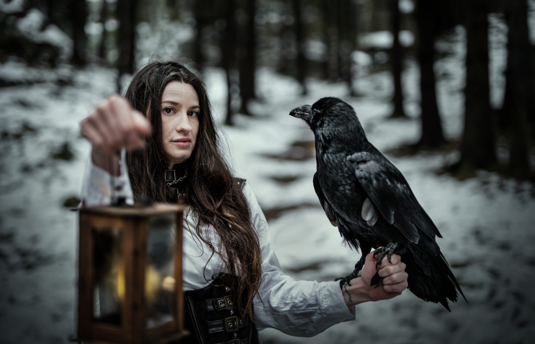 Focení s dravci, focení s krkavci, focení se sovičkami, fantasy focení s dravci - Wolfs production (23)