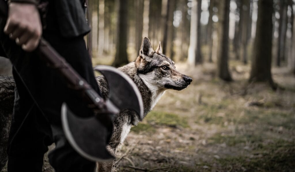 Vikingske foceni s vlky foceni s CSV fantasy foceni Wolfs Production 14