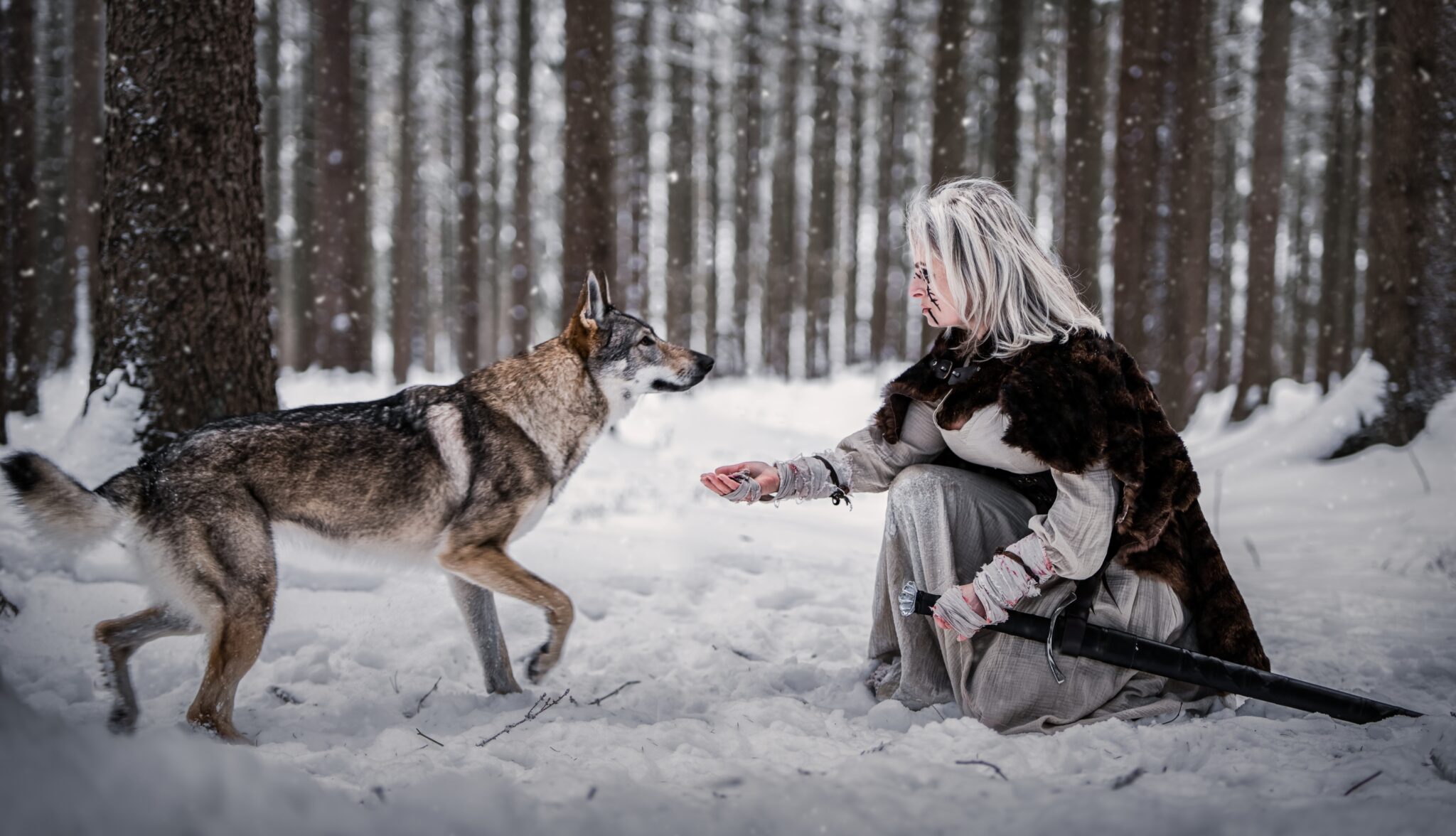 Vikingske foceni foceni s vlky fantasy foceni foceni v zime s vlky Wolfs Production 5